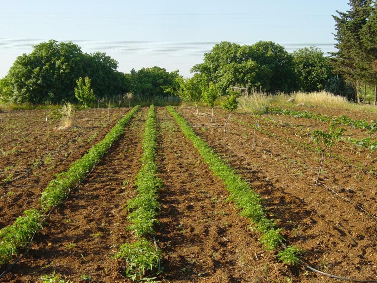 Tenuta Argiano Mesagne Zewnętrze zdjęcie