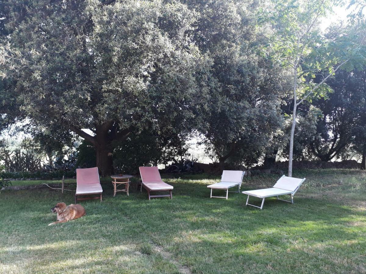 Tenuta Argiano Mesagne Zewnętrze zdjęcie